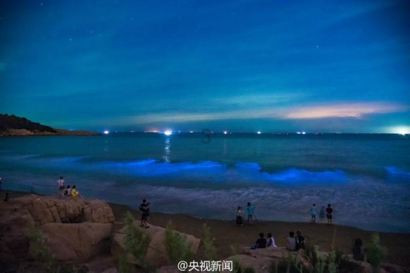 偶像经纪人