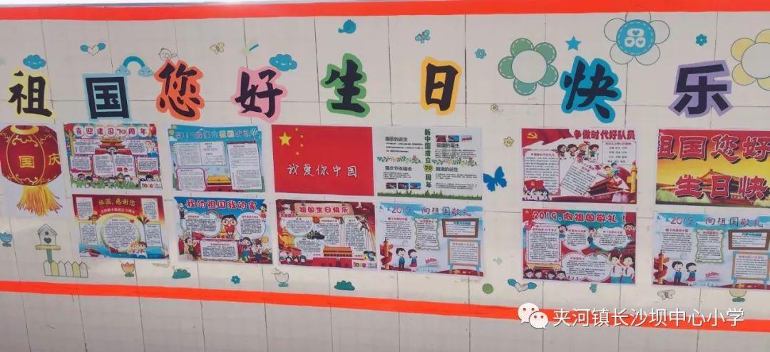 可怜猫的救援